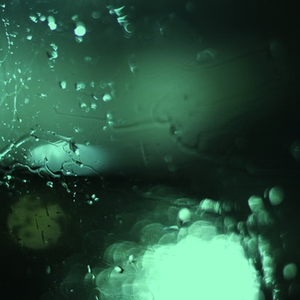 男男H双腿涨灌PLAY慎入视频
